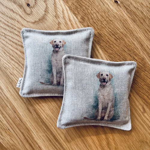 Microwaveable dog print - microwaveable,