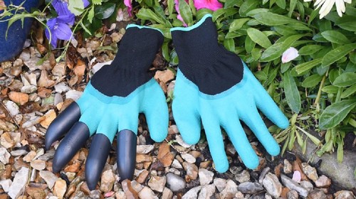 Neat ideas claw garden - neat,