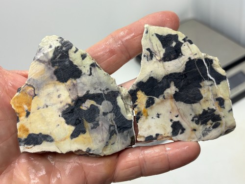 Roan leopard marble - roan,