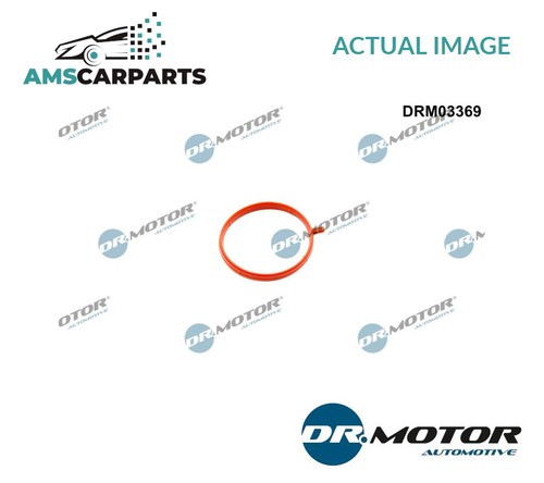 Intake manifold gasket - intake,