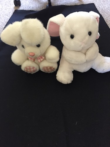Cute white bunny rabbits - 2,