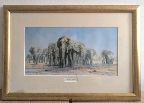 David shepherd print savuti - shepherd, 'savuti