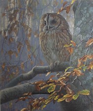 Robert Bateman White - Tawny
