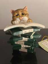 Comic curious cats - curious, cats: