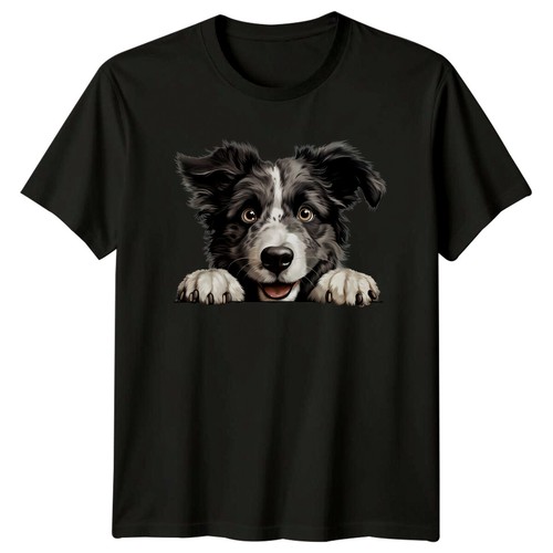 Cute border collie dog - cute,