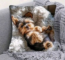 YORKSHIRE TERRIER Puppy Dog