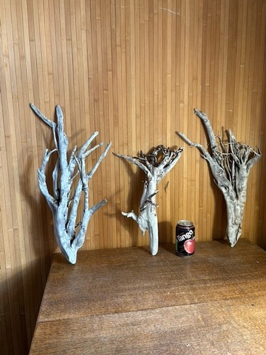 Driftwood tall silver - driftwood,