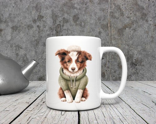 Brown border collie - border, dog