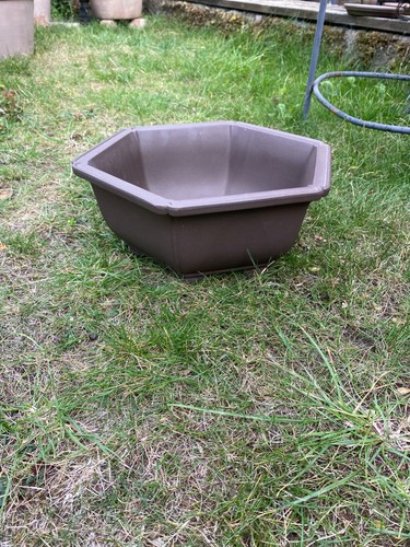 Hexagonal dish planter shallow - dish,
