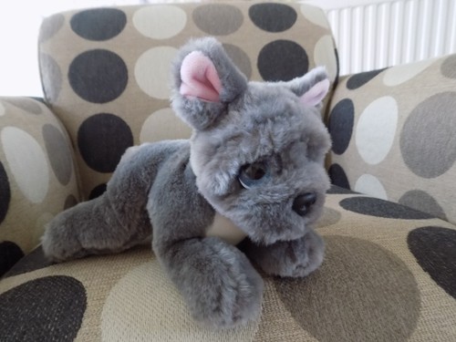 Keel toys french bulldog - toys, puppy