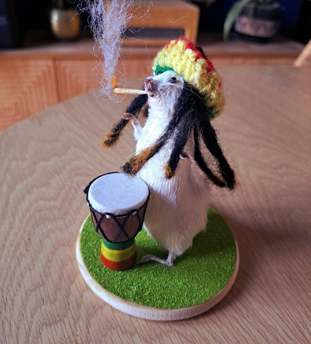 Mouse taxidermy rasta with - mouse,