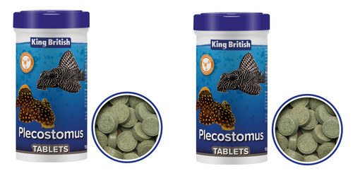 King british plecostomus - british,