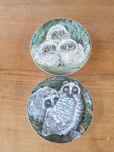 Wedgewood baby owls fine - baby, bone