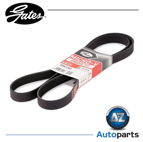 Rib ribbed belt - rib, v-ribbed