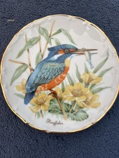 Vintage Kingfisher bird bone
