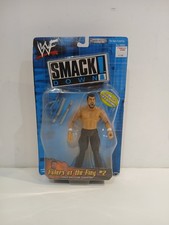 WWE Wrestling Figure Steve