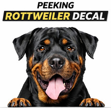 FUNNY PEEKING  ROTTWEILER DOG