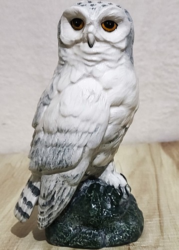 Royal doulton for - whyte, &