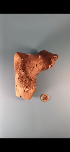 Woolly mammoth vertebrae - mammoth,