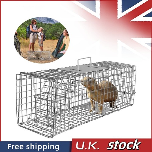 Large squirrel cage live - squirrel,
