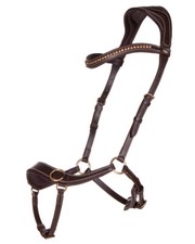 Anatomical Bitless Bridle with