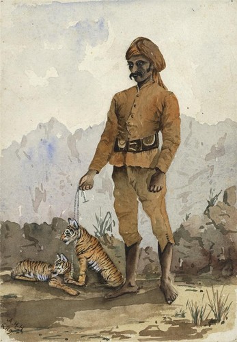 Man with tiger cubs - india, 1889