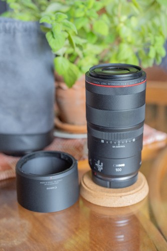 Canon 100mm 8 - rf, macro