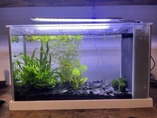 Fluval Spec 19L White Desktop