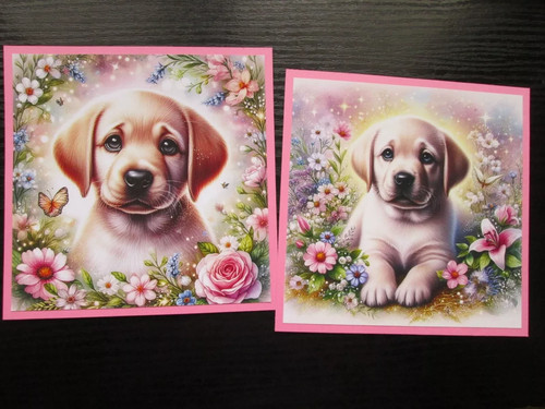 Cute labrador puppy - , dogs