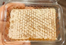 Pure Raw Honey Comb Section