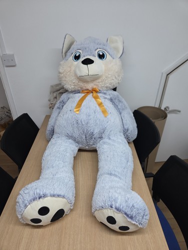 Plush toy teddy - toy,