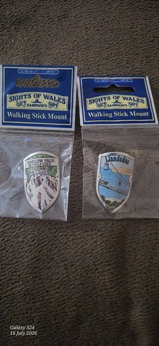 Walking stick mounts new and - stick,