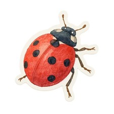 Ladybug 9x9cm Car Decal