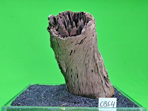 Corbo root cbs4 cave aquarium - corbo,