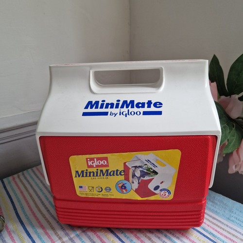 Vintage 2002 igloo - 2002,