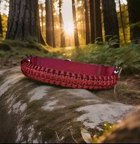 Burgandy bitless noseband - burgandy,