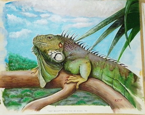 Iguana