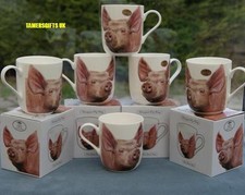 FINE BONE CHINA FINE CHINA PIG