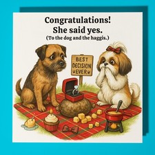 Border Terrier Shih Tzu