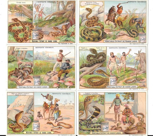 Liebig trade cards venomous - liebig,