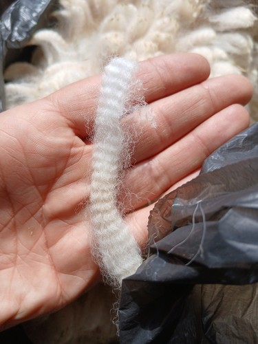 Raw alpaca fleece - raw,