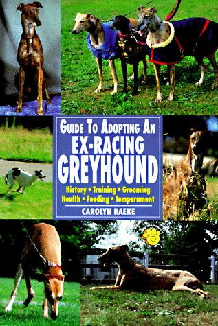 Guide owning ex racing - guide, an