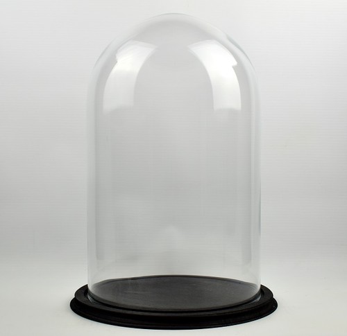 Clear circular glass dome with - clear,