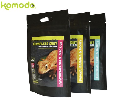 Komodo complete crested gecko - komodo,