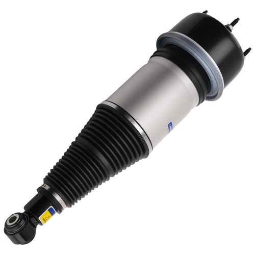 Rear air ride suspension - rear,