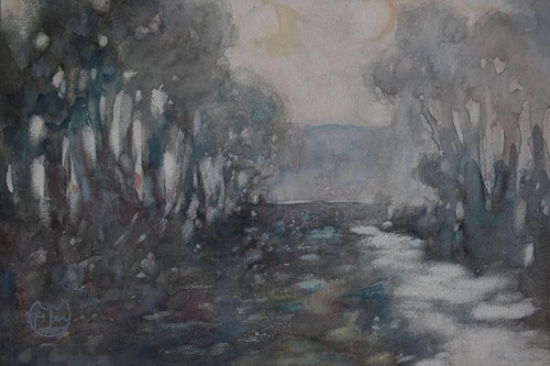 Early morning forest - morning,
