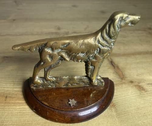Vintage irish setter - vintage,