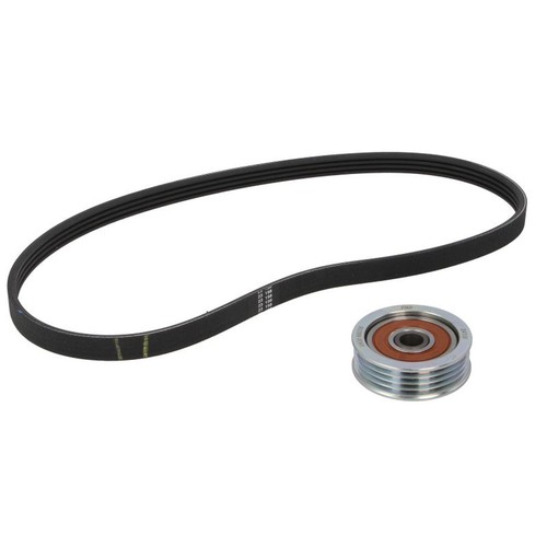 Belts set fits fiat - v-belts, sedici