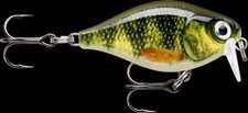 Rapala X-Light Crank Shallow