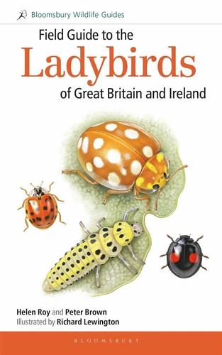 Field guide the ladybirds - field, to